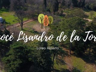 LOTEOS LISANDO DE LA TORRE