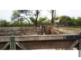 Foto 5 de Finca para Feedlot a Estrenar a 15 kms. de GÃ¼emes, Salta
