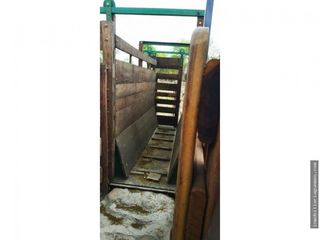 Foto 7 de Finca para Feedlot a Estrenar a 15 kms. de GÃ¼emes, Salta