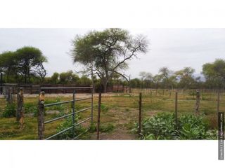 Foto 1 de Finca para Feedlot a Estrenar a 15 kms. de GÃ¼emes, Salta