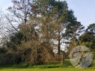 Foto 6 de San Miguel del Monte I Lote 800 m2