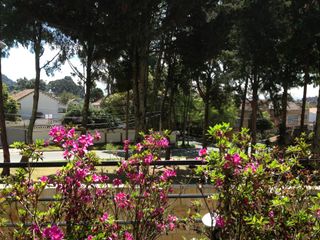 Foto 11 de casa en arriendo en santa bárbara alta. Cod A8408319