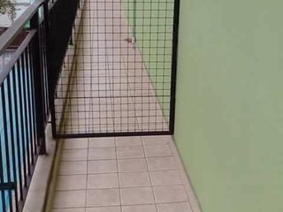 Foto 3 de DEPARTAMENTO MONOAMBIENTE EN ALQUILER EN PILAR