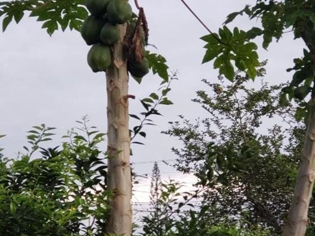 venta de quinta, frente a la vía Chone km 9