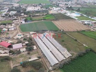 Foto 2 de 🌟 ¡OPORTUNIDAD ÚNICA PARA INVERSIONISTAS! 🌟

Descubre el potencial de un terreno vasto y versátil en una ubicación privilegiada:

📍 Ubicación: Cam