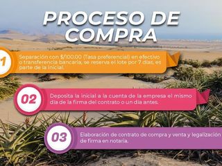 Foto 14 de Venta de Lotes Comerciales 165 m2 Panamericana Sur Km 44.5 Punta Negra