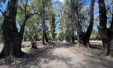 place photo 33