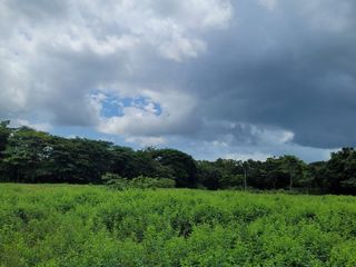 FINCA PARA VENTA DE 27 HECTAREAS EN CLEMENCIA, BOLÍVAR