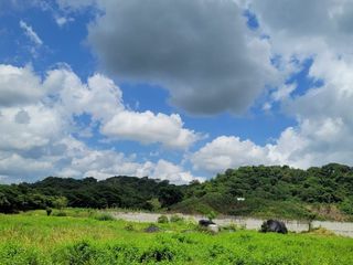 FINCA PARA VENTA DE 27 HECTAREAS EN CLEMENCIA, BOLÍVAR