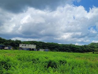 FINCA PARA VENTA DE 27 HECTAREAS EN CLEMENCIA, BOLÍVAR