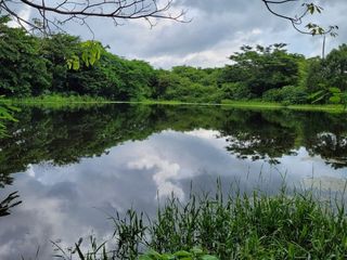 FINCA PARA VENTA DE 27 HECTAREAS EN CLEMENCIA, BOLÍVAR