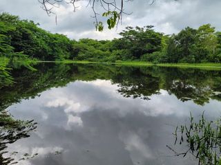 FINCA PARA VENTA DE 27 HECTAREAS EN CLEMENCIA, BOLÍVAR