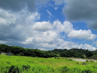 FINCA PARA VENTA DE 27 HECTAREAS EN CLEMENCIA, BOLÍVAR