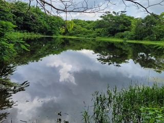 FINCA PARA VENTA DE 27 HECTAREAS EN CLEMENCIA, BOLÍVAR