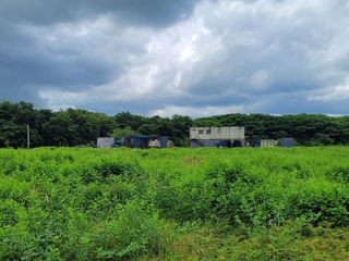 FINCA PARA VENTA DE 27 HECTAREAS EN CLEMENCIA, BOLÍVAR