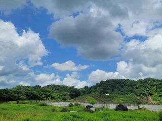 FINCA PARA VENTA DE 27 HECTAREAS EN CLEMENCIA, BOLÍVAR