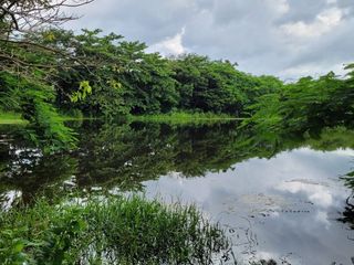 FINCA PARA VENTA DE 27 HECTAREAS EN CLEMENCIA, BOLÍVAR