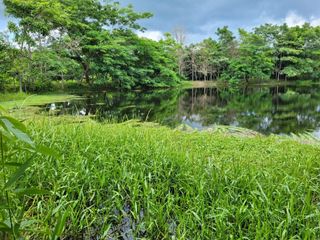 FINCA PARA VENTA DE 27 HECTAREAS EN CLEMENCIA, BOLÍVAR