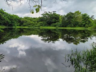 FINCA PARA VENTA DE 27 HECTAREAS EN CLEMENCIA, BOLÍVAR