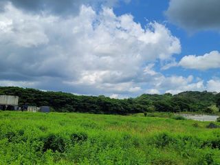 FINCA PARA VENTA DE 27 HECTAREAS EN CLEMENCIA, BOLÍVAR