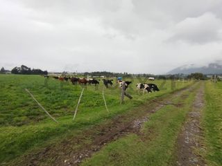 Foto 4 de En Venta Terreno 63.7 Hectáreas, Latacunga, sector Tiobamba