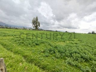 Foto 1 de En Venta Terreno 63.7 Hectáreas, Latacunga, sector Tiobamba