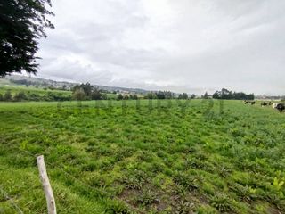 Foto 5 de En Venta Terreno 63.7 Hectáreas, Latacunga, sector Tiobamba