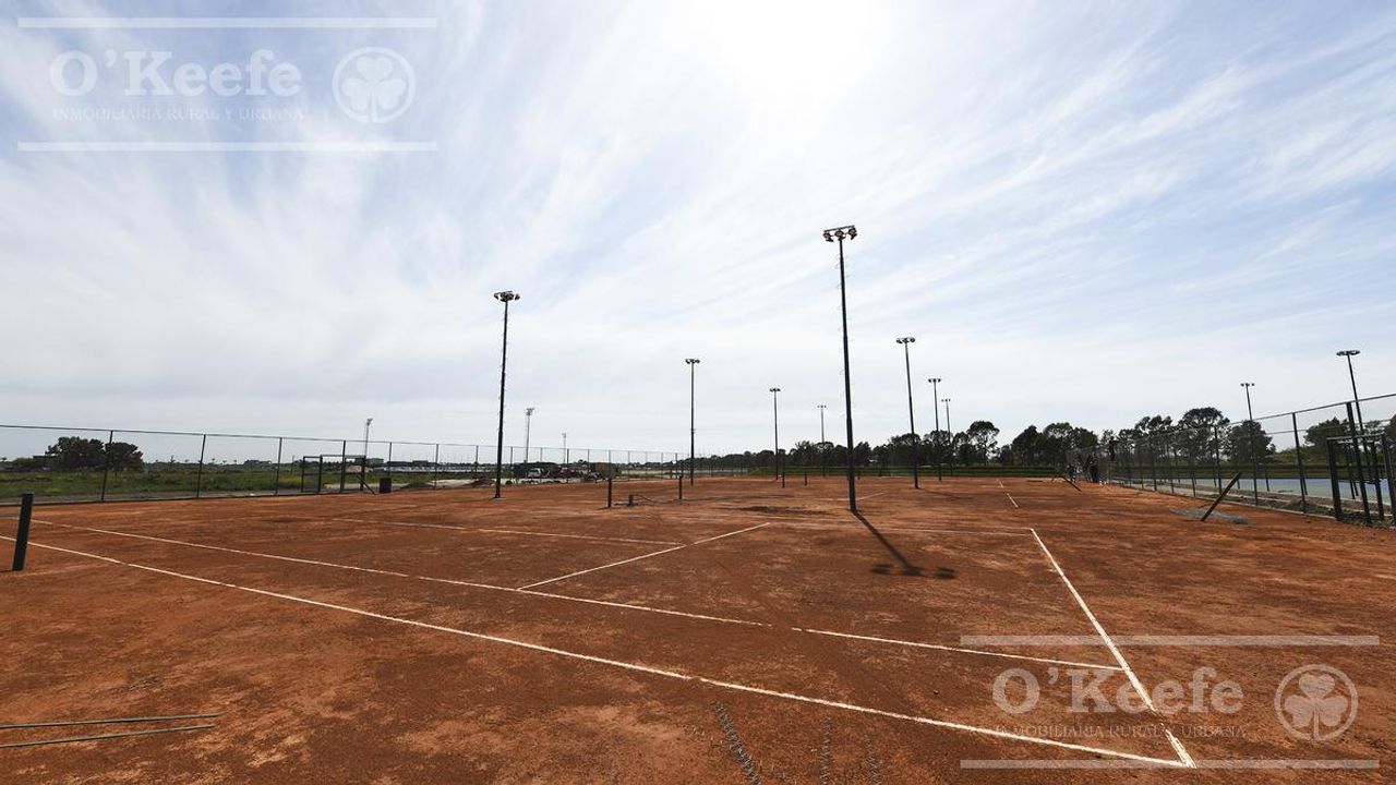 place photo 25