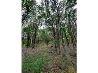 Foto 9 de VENTA-GRAN LOTE EN ASCOCHINGA-CERRO LA CRUZ