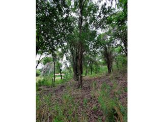 Foto 7 de VENTA-GRAN LOTE EN ASCOCHINGA-CERRO LA CRUZ