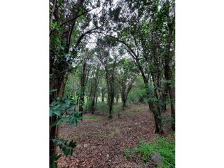 Foto 10 de VENTA-GRAN LOTE EN ASCOCHINGA-CERRO LA CRUZ