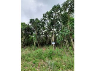 Foto 1 de VENTA-GRAN LOTE EN ASCOCHINGA-CERRO LA CRUZ