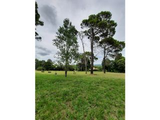 Foto 3 de VENTA-GRAN LOTE EN ASCOCHINGA-CERRO LA CRUZ