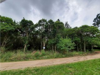 Foto 4 de VENTA-GRAN LOTE EN ASCOCHINGA-CERRO LA CRUZ