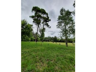 Foto 2 de VENTA-GRAN LOTE EN ASCOCHINGA-CERRO LA CRUZ