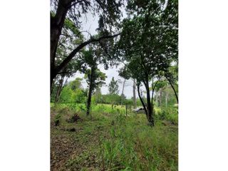 Foto 6 de VENTA-GRAN LOTE EN ASCOCHINGA-CERRO LA CRUZ