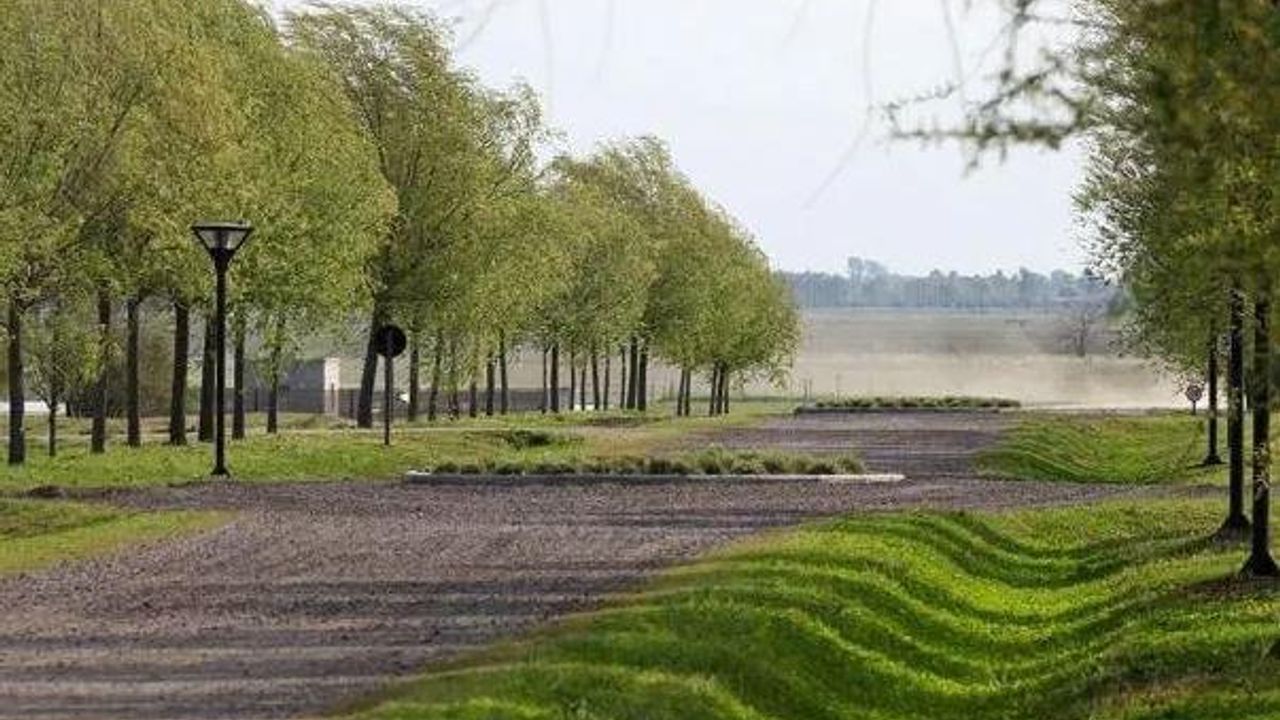 place photo 14