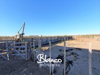 Terreno en Alquiler en La Reforma, Limay Mahuida, La Pampa, Argentina