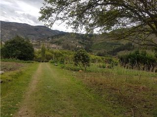 Foto 12 de Hacienda con casa y terreno en venta tipo quinta en paute