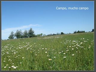 Foto 14 de Lotes en Benquerencia Farm Club. Consulte distintas opciones