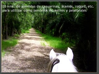 Foto 10 de Lotes en Benquerencia Farm Club. Consulte distintas opciones
