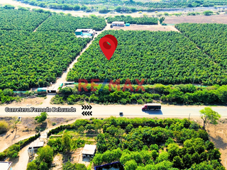 Foto 1 de 🌱🚜 ¡OPORTUNIDAD ÚNICA PARA INVERSORES Y AGRICULTORES! 🚜🌱

¿Estás buscando la tierra perfecta para expandir tus horizontes agrícolas? ¡No busques más