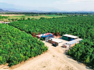 Foto 5 de 🌱🚜 ¡OPORTUNIDAD ÚNICA PARA INVERSORES Y AGRICULTORES! 🚜🌱

¿Estás buscando la tierra perfecta para expandir tus horizontes agrícolas? ¡No busques más