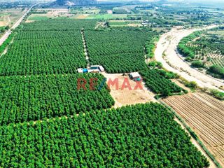 Foto 11 de 🌱🚜 ¡OPORTUNIDAD ÚNICA PARA INVERSORES Y AGRICULTORES! 🚜🌱

¿Estás buscando la tierra perfecta para expandir tus horizontes agrícolas? ¡No busques más