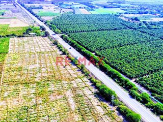 Foto 8 de 🌱🚜 ¡OPORTUNIDAD ÚNICA PARA INVERSORES Y AGRICULTORES! 🚜🌱

¿Estás buscando la tierra perfecta para expandir tus horizontes agrícolas? ¡No busques más