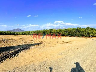 Foto 4 de 🌱🚜 ¡OPORTUNIDAD ÚNICA PARA INVERSORES Y AGRICULTORES! 🚜🌱

¿Estás buscando la tierra perfecta para expandir tus horizontes agrícolas? ¡No busques más