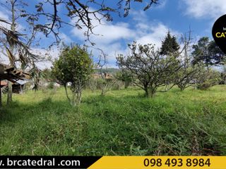 Foto 15 de Casa de arriendo en Pampa Veintimilla – código:20480