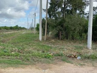 Foto 3 de Terreno en venta - 805mts2 - Coronel Brandsen