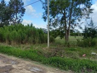 Foto 2 de Terreno en venta - 805mts2 - Coronel Brandsen