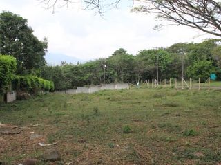 Foto 5 de lote en venta en pance. Cod V10294